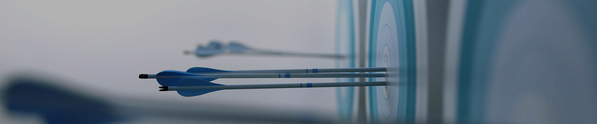 应用领域banner